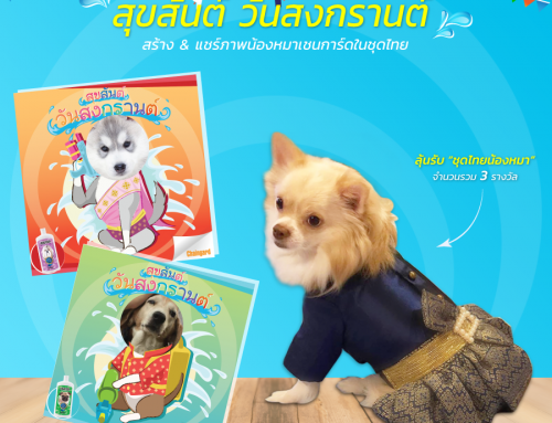 สุขสันต์วันสงกรานต์ สร้าง & แชร์ ภาพน้องหมาเชนการ์ดในชุดไทย